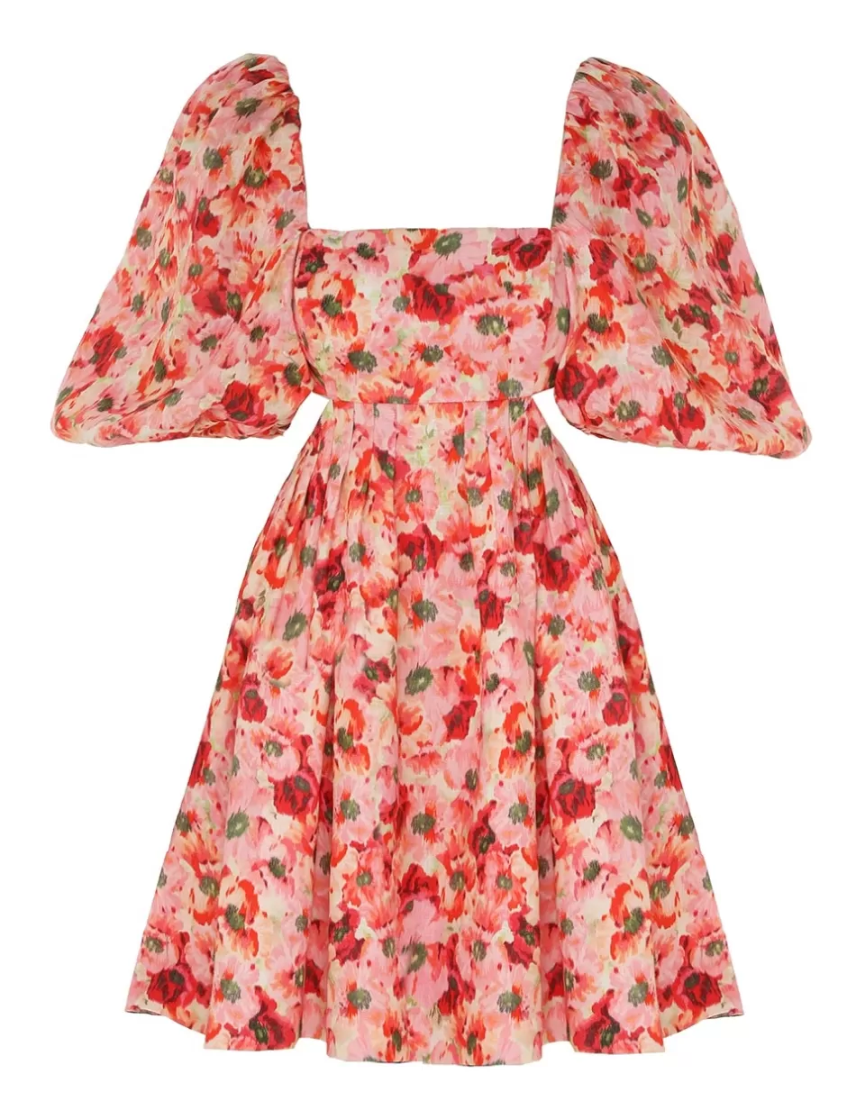 ZIMMERMANN Clothing | Dresses & Coverups<Lightburst Cut Out Mini Dress Red Floral